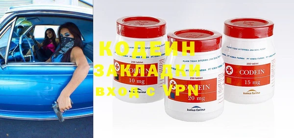 прущие грибы Новодвинск