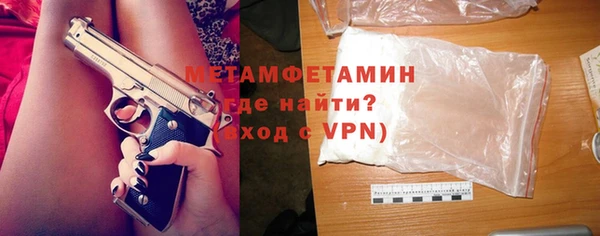 прущие грибы Новодвинск