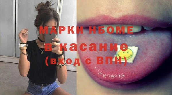 молекула духа Новозыбков