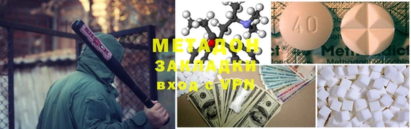 прущие грибы Новодвинск