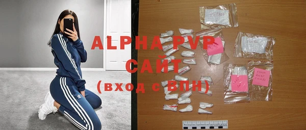 молекула духа Новозыбков