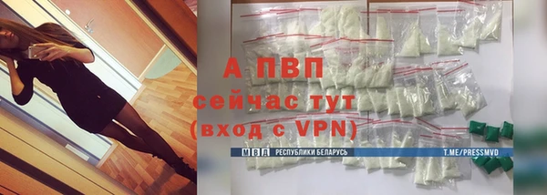 молекула духа Новозыбков