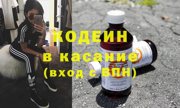 молекула духа Новозыбков