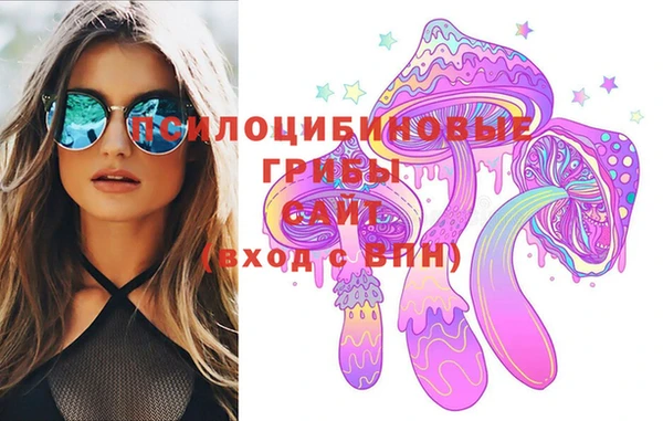 прущие грибы Новодвинск