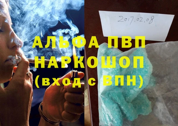 прущие грибы Новодвинск