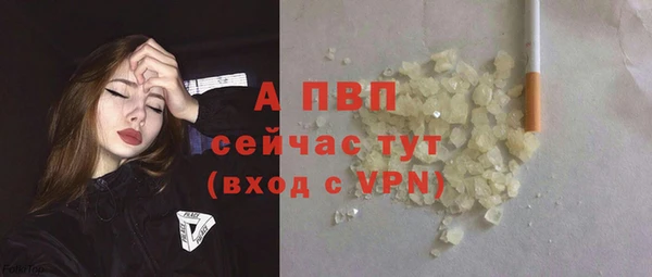 молекула духа Новозыбков