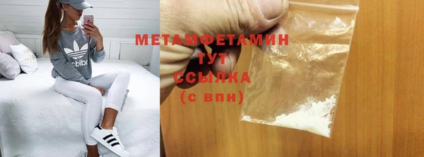 прущие грибы Новодвинск