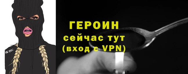 прущие грибы Новодвинск