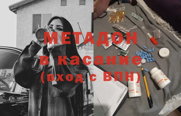прущие грибы Новодвинск