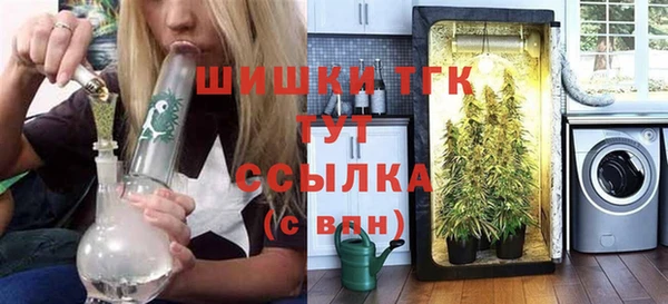 молекула духа Новозыбков