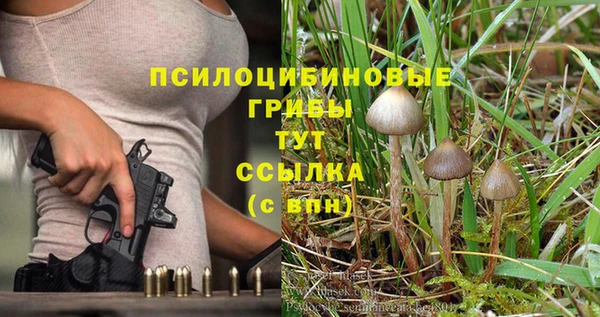 скорость Баксан