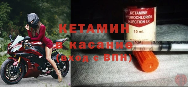 прущие грибы Новодвинск