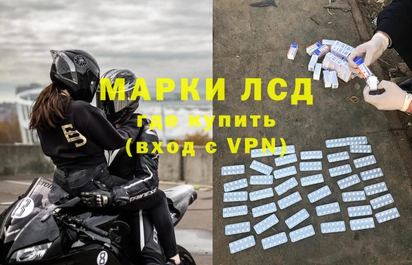 молекула духа Новозыбков