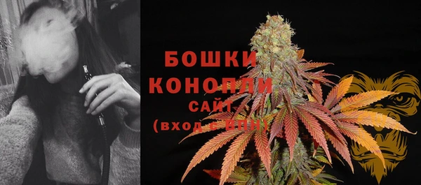 прущие грибы Новодвинск