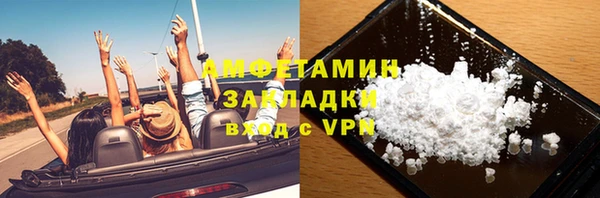 молекула духа Новозыбков