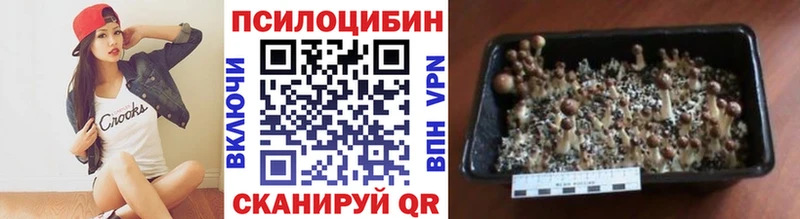 shop какой сайт  Краснозаводск  Псилоцибиновые грибы Psilocybe 