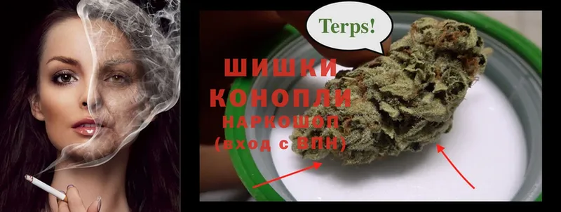 mega ссылки  продажа наркотиков  Краснозаводск  Канабис LSD WEED 